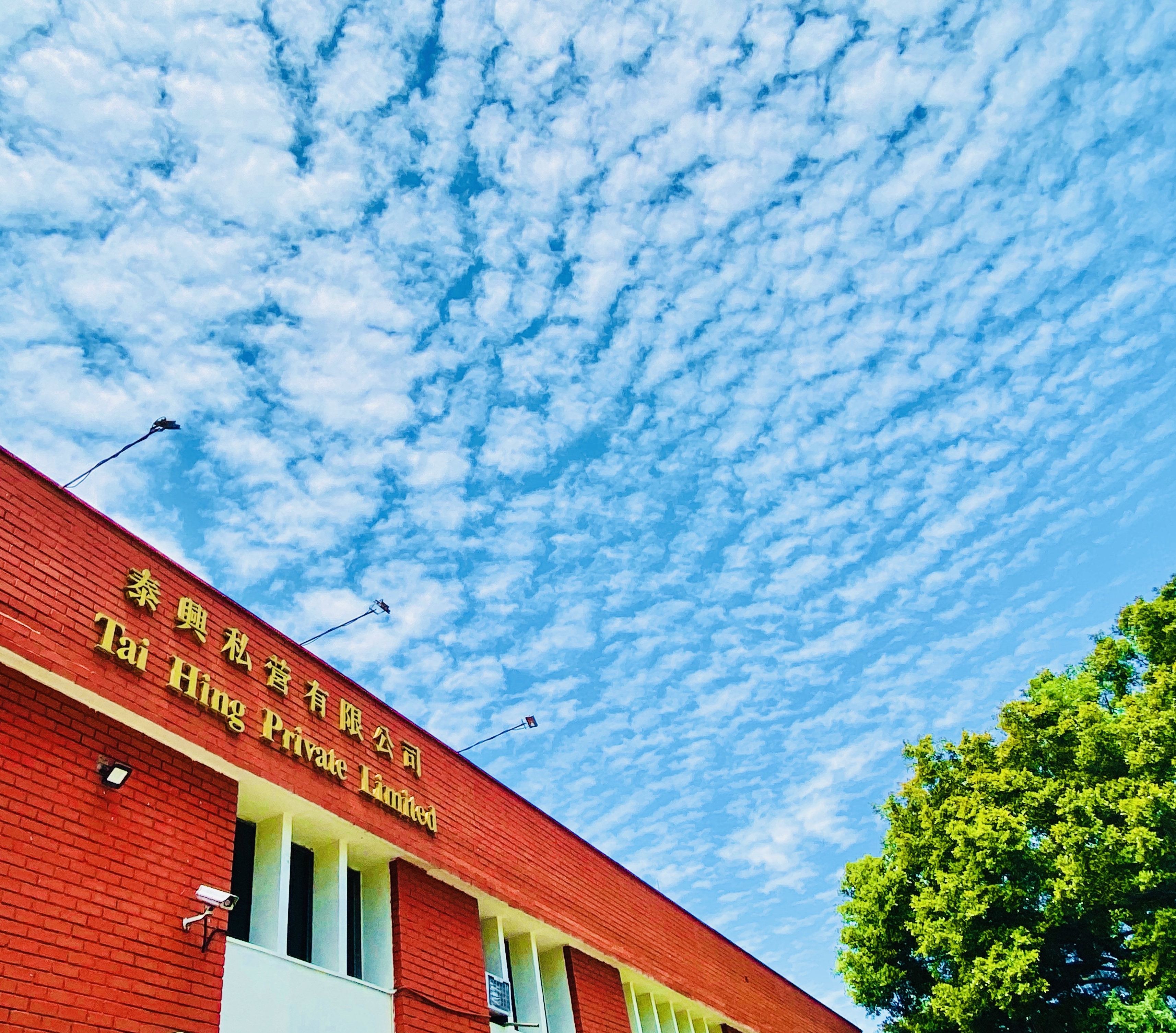 Tai Hing headquarters at Pioneer Sector 1 Singapore